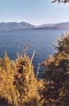 Argentina - lago nahuel huapi - 